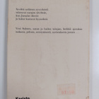 Vexi Salmi : Lautturin lauluja - pikkukuva 2