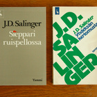 J.D. Salinger - Sieppari ruispellossa & Yhdeksän kertomusta - pikkukuva 1