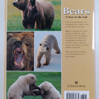 Matthias Breiter : Bears - A year in their life - pikkukuva 2