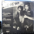 SHE-SHE SAM - WERE GONNA MAKE IT UUSI 12¨MAXI - pikkukuva 2