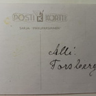 Pikkuleidi säikähtää tipun kuoriutumista (Könni), k. k-k - pikkukuva 2
