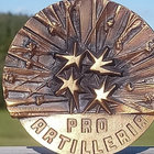 Pro Artilleria. Heikki Häiväoja. Pronssinen, rasiassa, Halka - pikkukuva 5