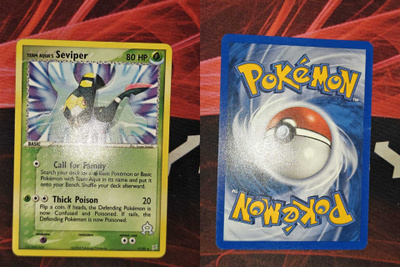 Pokémon Team Aqua's Seviper