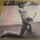 Ramones as seen on TV lp muoveissa värivinyyli live - pikkukuva 2