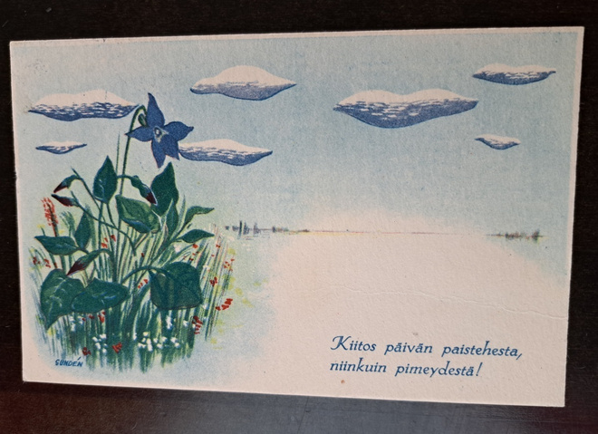 Sunden: sinivuokko, virren säe, kulk. 1954