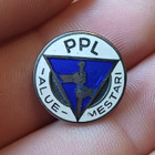Hopeinen PPL alue mestari ruuvimerkki - pikkukuva 1