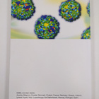 EMBL : Annual report 2012-2013 - pikkukuva 2