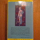 ITALO CALVINO Herra Palomar1.p. 1988 TAMMEN KELTAINEN KIRJAS - pikkukuva 2