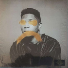 Gallant lp - pikkukuva 1