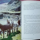 Falk-Rönne: Tristan da Cunha (saari) - pikkukuva 5