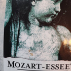 Søren Kierkegaard Mozart-esseet - pikkukuva 3