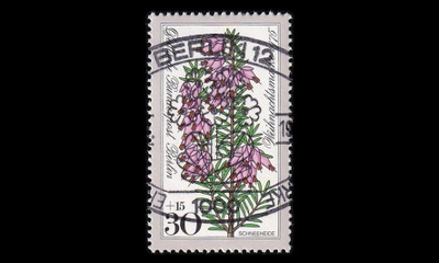 Berlin 514 o Joulu (1975)