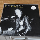 Dave Lindholm Kuutamolla - pikkukuva 1