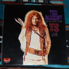 TED NUGENT & THE AMBOY DUKES ~ Survival Of The Fittest ~ LP - pikkukuva 1