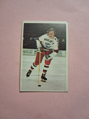 Panda. Jääkiekkokoulu. 16.