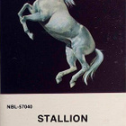 Stallion - Stallion C-kasetti - pikkukuva 1