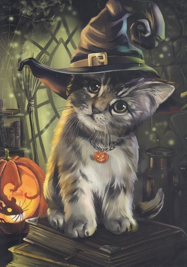 Kajenna: Harmaa kissa, halloween