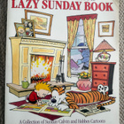 THE CALVIN AND HOBBES - LAZY SUNDAY BOOK - pikkukuva 1