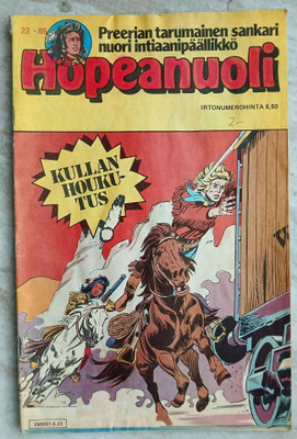 Hopeanuoli 22/1985