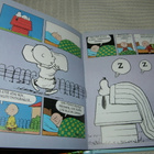 Schulz Syksy - pikkukuva 2