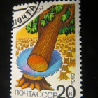 CCCP 1990: luonnonsuojelu - pikkukuva 4