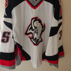 Mika Noronen #35 Buffalo Sabres gameworn pelipaita - pikkukuva 1