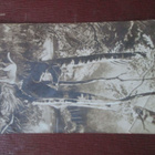 neljä vintage valokuvakorttia 1900-luku alku - pikkukuva 3