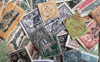 Euroopan siirtomaiden massaa yli 1000kpl