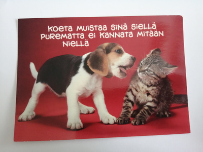 Koeta muistaa sinä siellä purematta ei kannata mitään niellä