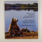 Seppo Riklander : Rypsipellon nallet - pikkukuva 2