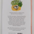Jukka-Pekka Palviainen : Allu ja salainen ihailija - pikkukuva 2