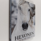 Elaine Walker : Hevonen : intohimo, kauneus, ylevyys, vah... - pikkukuva 1