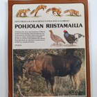 Eränkävijä 1982 - pikkukuva 2