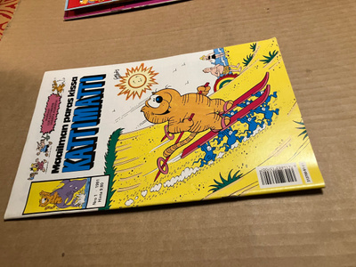 KATTIMATTI LEHTI 1/1991 HYVÄ