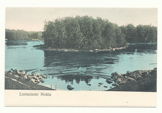 NOKIA, LINTUNIEMI - vanha Carte Postale