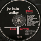 Joe Louis Walker - Blues Survivor (hienokuntoinen cd-levy) - pikkukuva 4