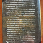 Ene Mihkelson: Ruttohauta, Wsoy 2011, 1.p. - pikkukuva 2