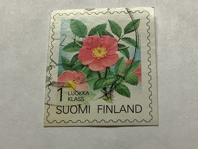 1245/ 1994 Karjalanruusu o leimattu