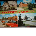 kortti **/° Lammi tai Janakkala - erilaisia - pikkukuva 1