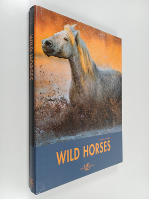 Paolo Manili : Wild Horses