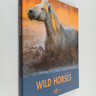 Paolo Manili : Wild Horses - pikkukuva 1