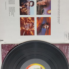 The Triffids – Calenture vinyyli lp - pikkukuva 2