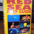Debelius :  RED SEA REEF GUIDE ( SIS POSTIKULU) - pikkukuva 1