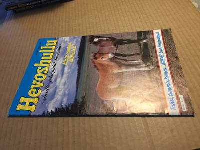 HEVOSHULLU 24/1984 HYVÄ