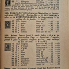 Postimerkkiluettelo 1925, Zumstein - pikkukuva 3