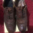 STAFFORD WINGTIP OXFORDS kengät koko 11 - pikkukuva 1