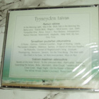 3 X CD Tyyneyden Taivas - Valitut Palat (Uusi) - pikkukuva 2