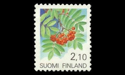 1123 ** Pihlaja (1991)