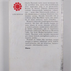Lionel Davidson : Tiibetin ruusu - pikkukuva 2