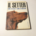 Marina Roberi - Il Setter. Come si alleva - Come si addestra - pikkukuva 1